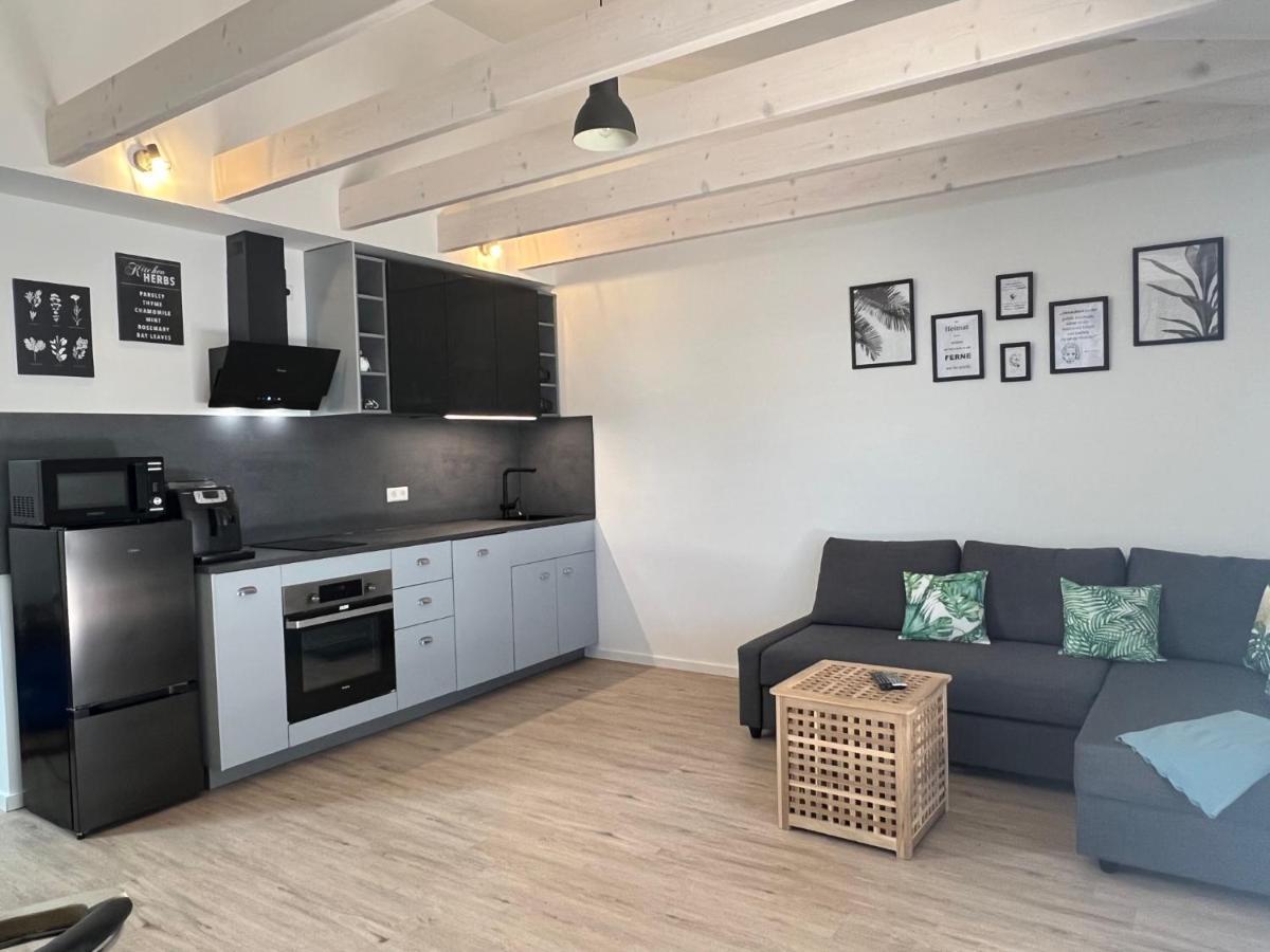 Loft Wohnung Appartement auf 2 Etagen, Nähe Neckar Neckarwestheim Exterior foto